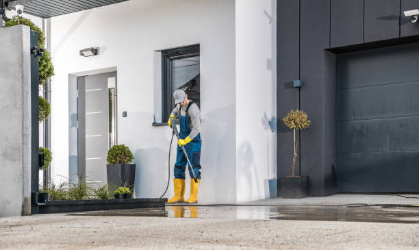 Best Fence Cleaning and Maintenance in Dewitt, AR